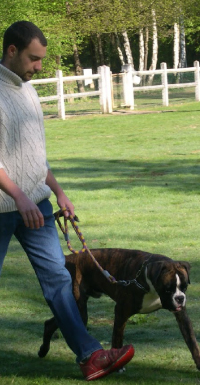 Académie du Chien